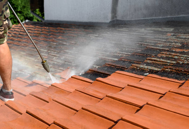 Best Roof Pressure Washing  in Lawrence, IN